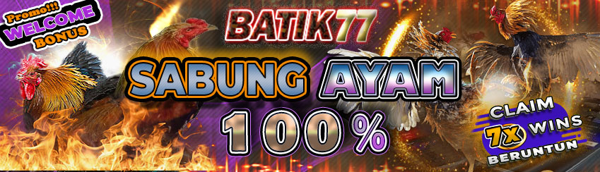 PROMO 100% SABUNG AYAM